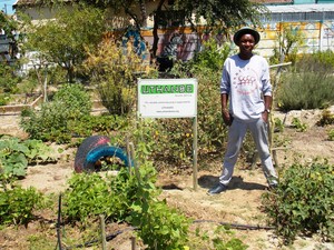 Photo of a gardener