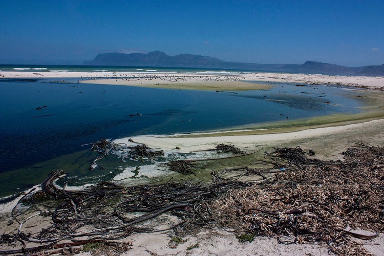 Photo of a coast