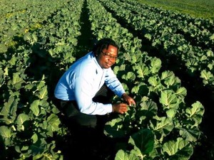 Photo of a man in a field