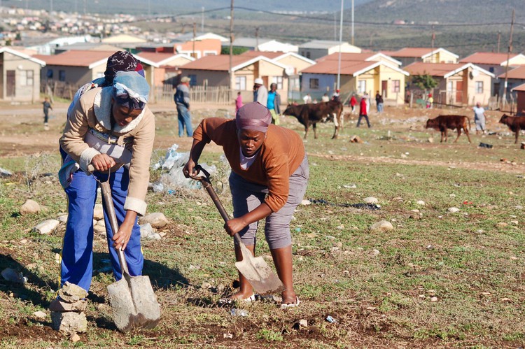 Photo of two people digging