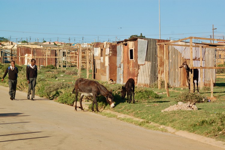 Photo of shacks