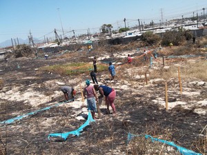 Photo of people marking out plots