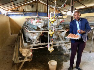 Photo of a man with chickens and eggs