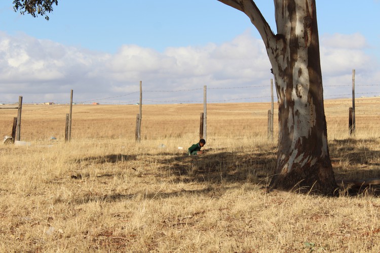 Photo of child squatting in field