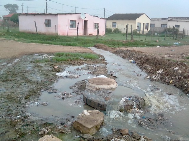 Photo of a manhole overflowing with sewage