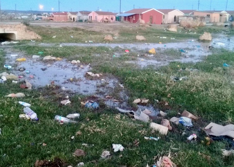 Photo of a bog in front of houses