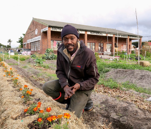 Photo of a man gardening