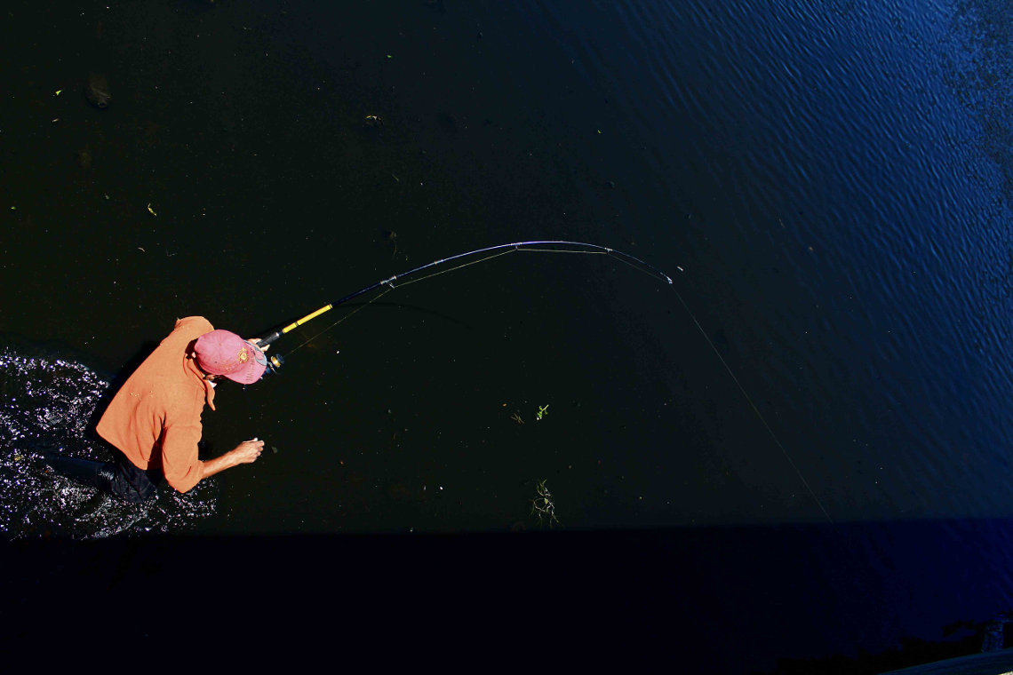 Wayne wades through the river to fetch a fish that is stuck under the bridge.