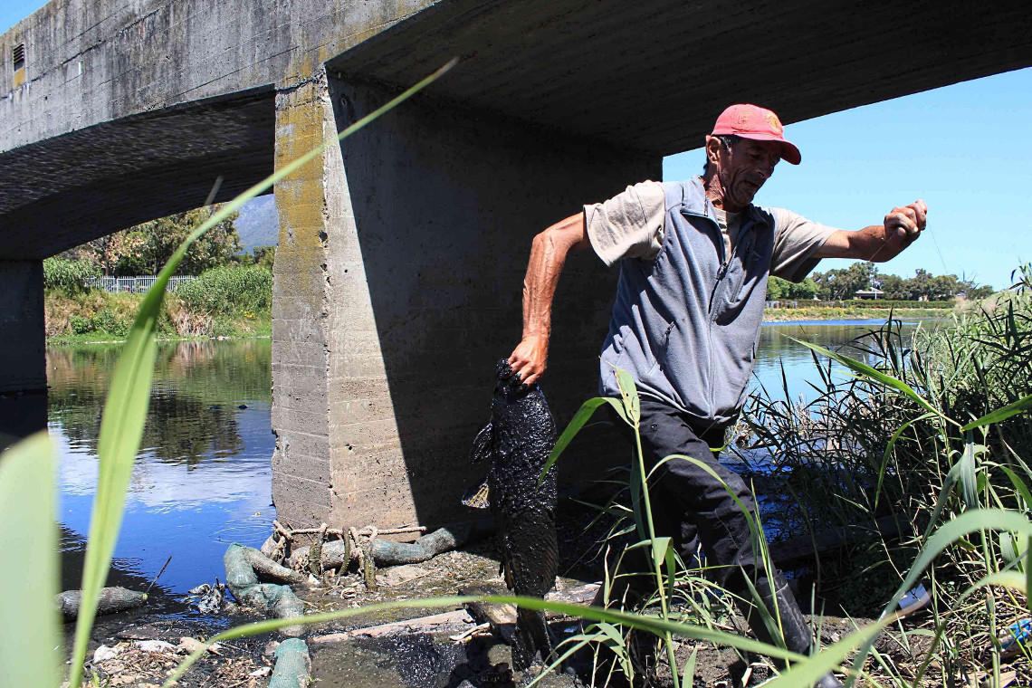 Wayne picks up a carp that he had pulled to the side of the river.