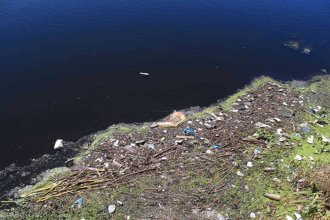 Rubbish gathers at the side of the Black River.