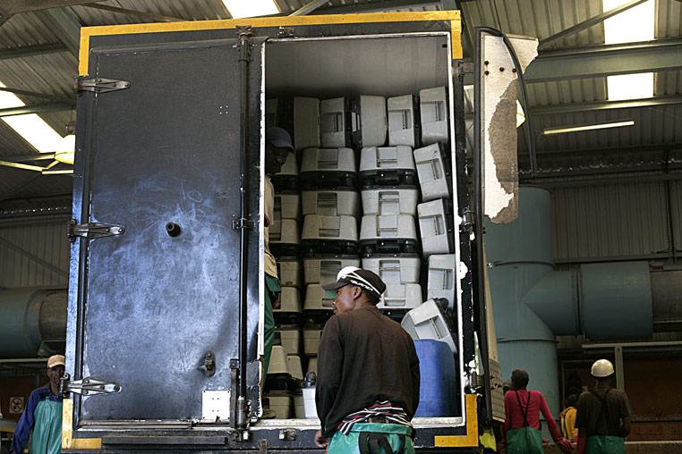 Po​rtable toilets delivered ​to  the Airport Industria cleaning depot​.</div>