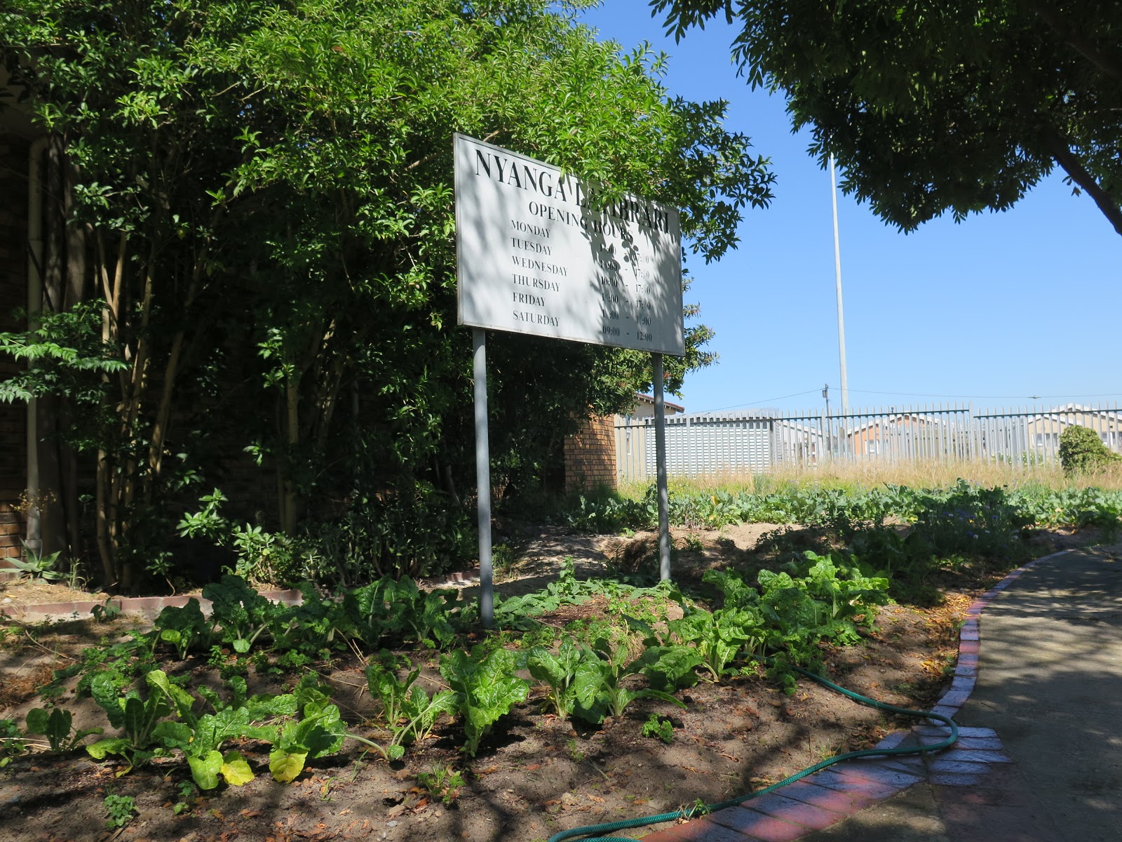 Photo of a garden