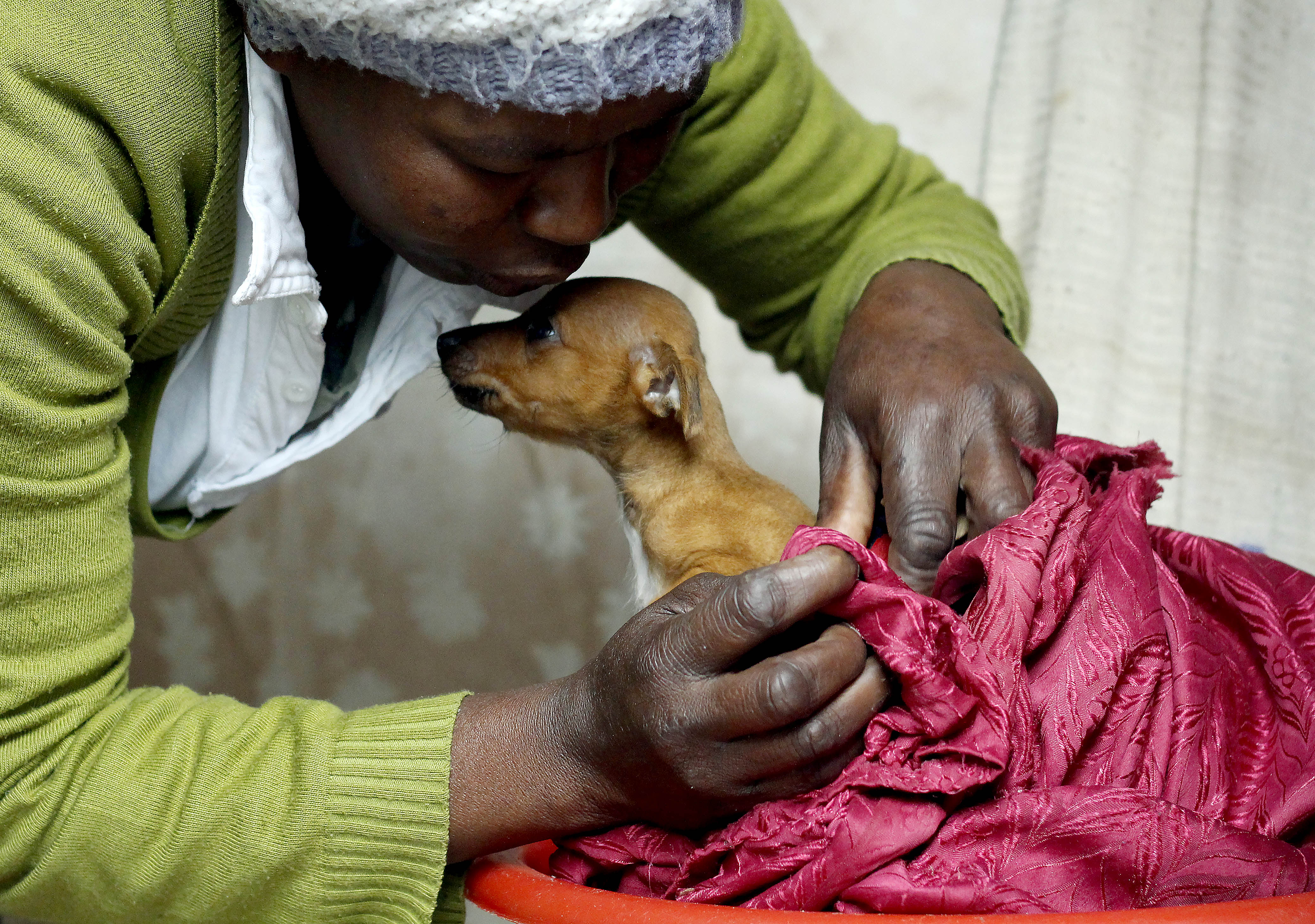 Photo of woman with wet dog