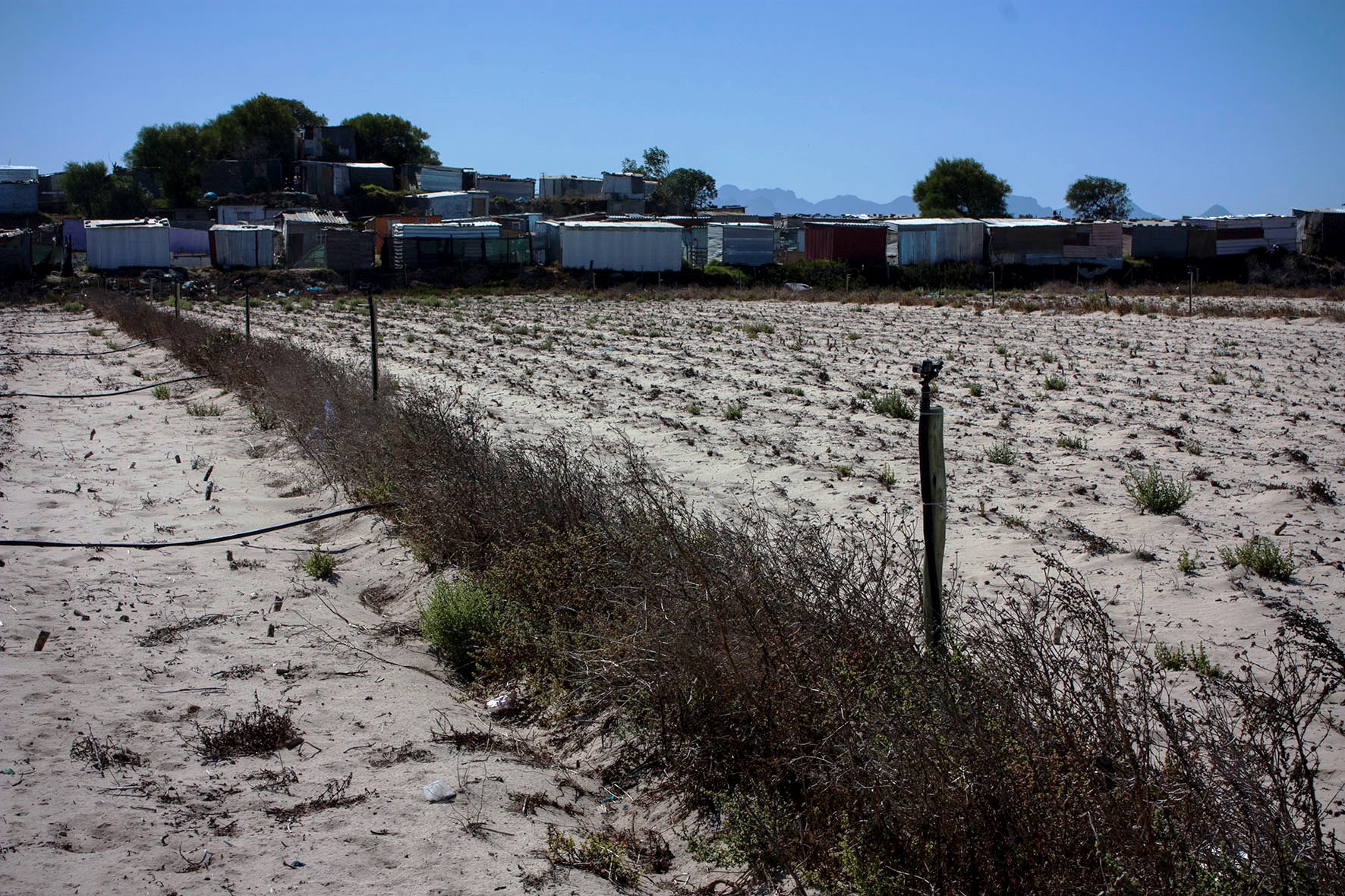 Photo of shacks on farm land